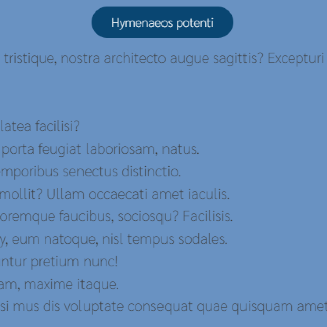 Componente Boton y textos | www.condrupal.com
