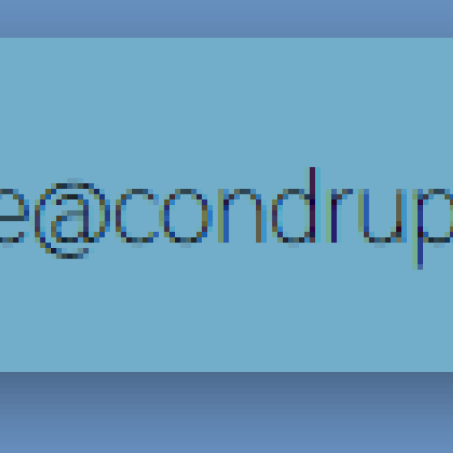 Componente Icono y texto | www.condrupal.com