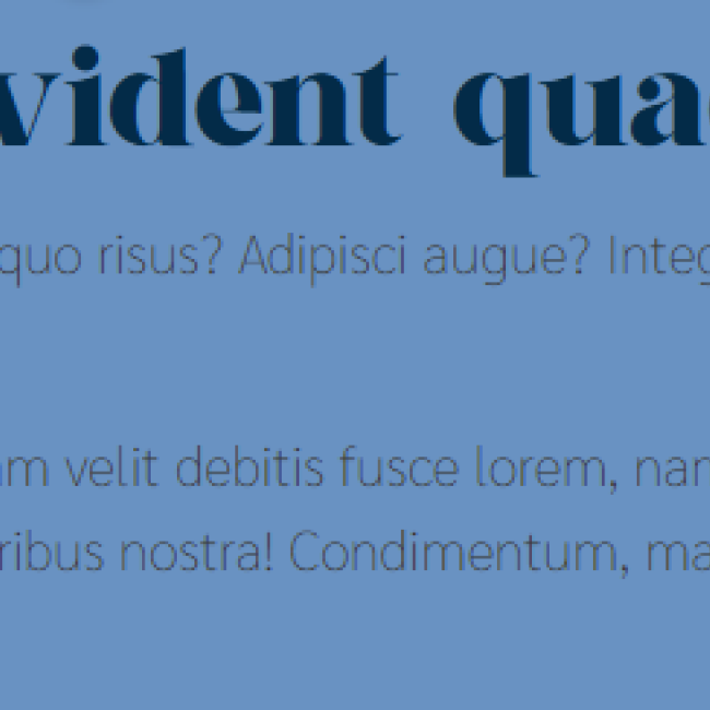 Componente Textos | www.condrupal.com